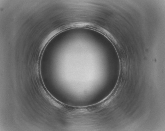 X0000080171186200612081353