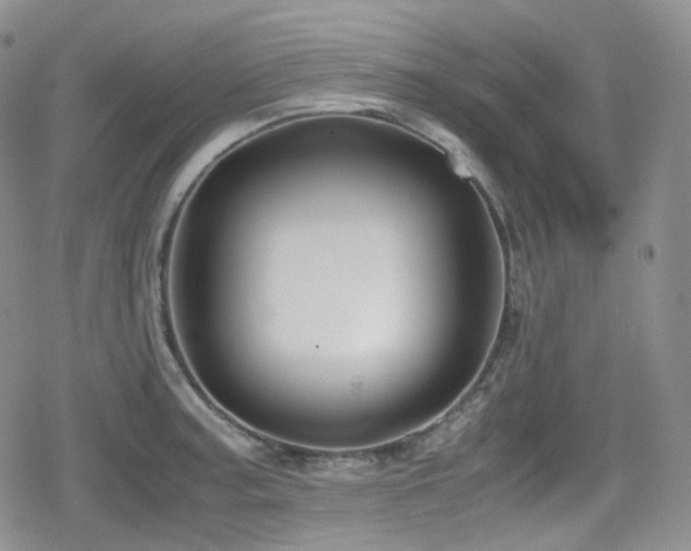 X0000080171187200612081353