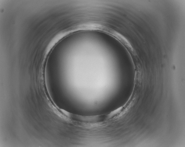 X0000080171192200612081353
