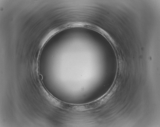 X0000080171194200612081352