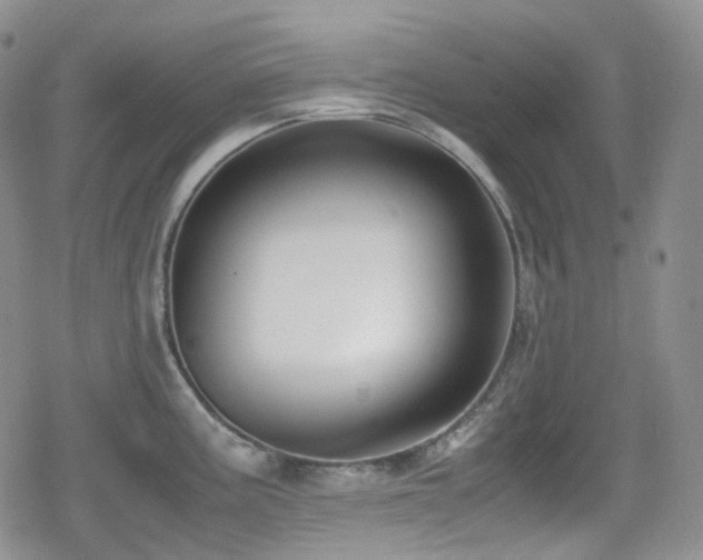 X0000080171195200612081352