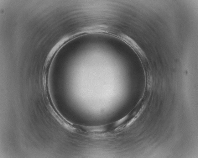 X0000080171196200612081352