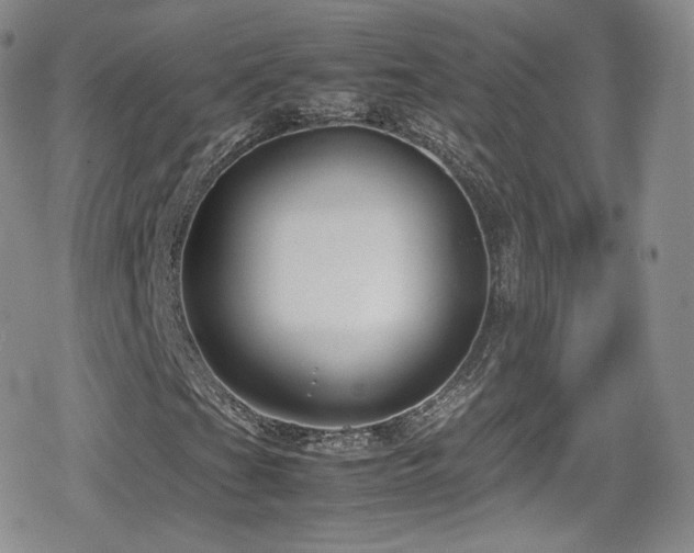 X0000080171201200612081352