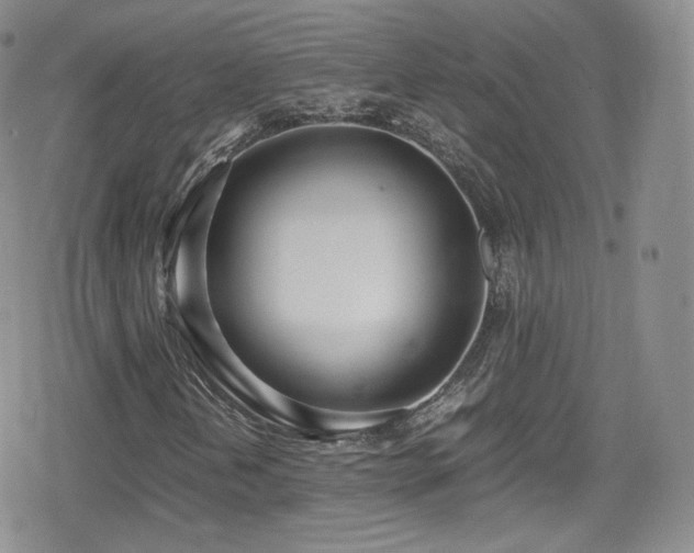 X0000080171202200612081352