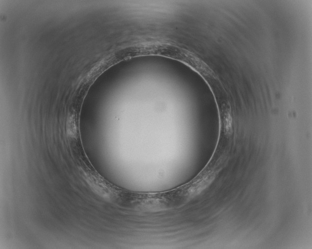 X0000080171204200612081352