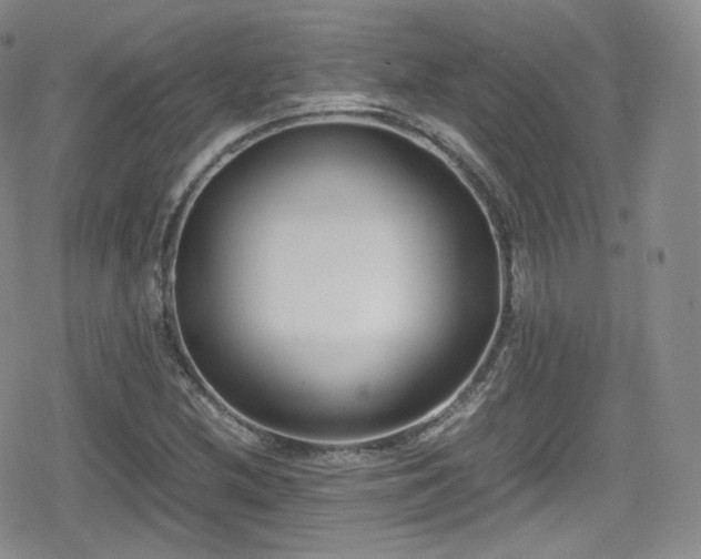 X0000080171212200612081352