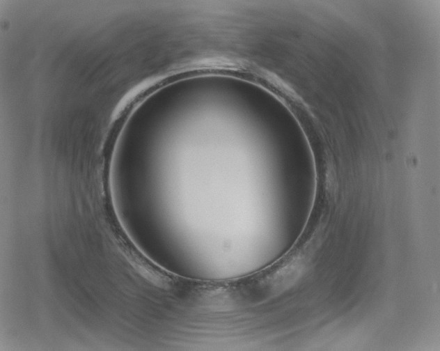 X0000080171222200612081352