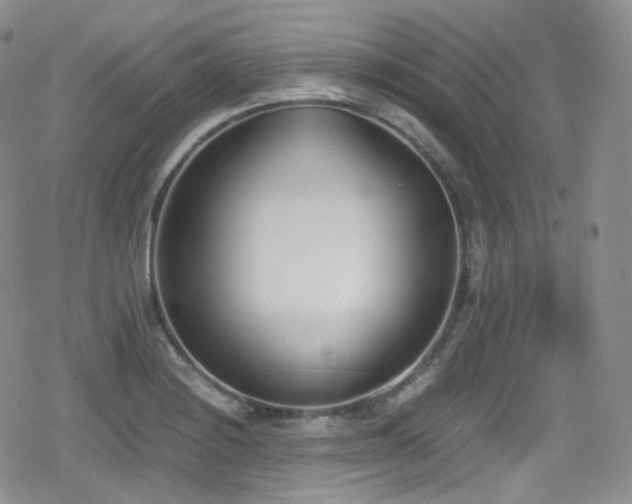 X0000080171228200612081352