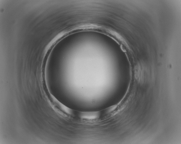 X0000080171229200612081352