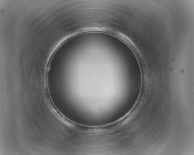 X0000080171236200612081352