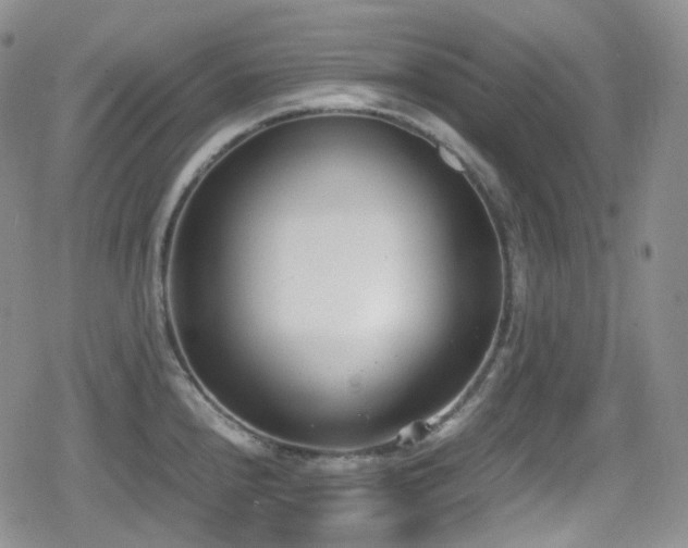X0000080171240200612081352