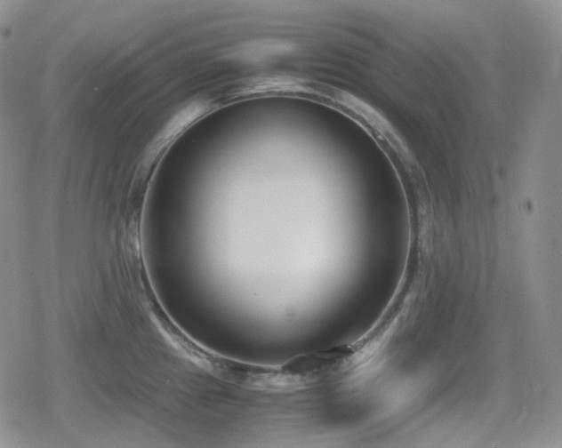 X0000080171241200612081352