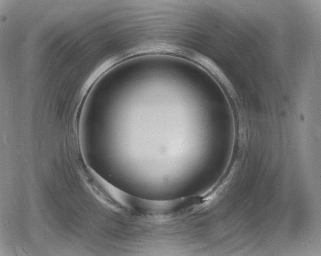 X0000080171242200612081352