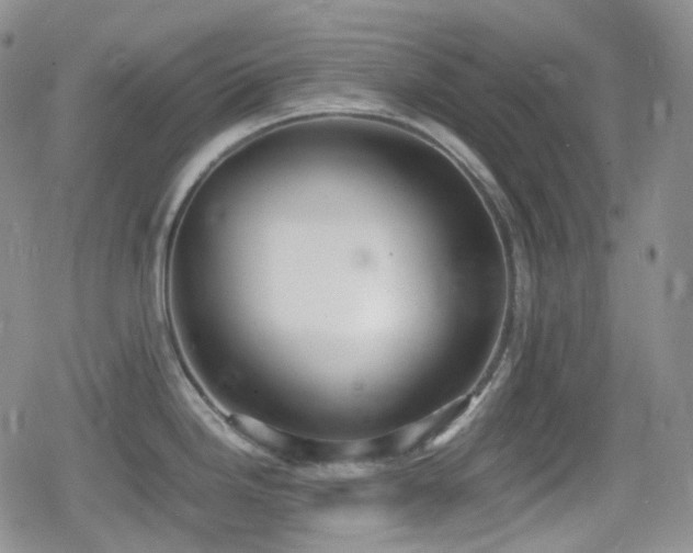 X0000080171246200612081352