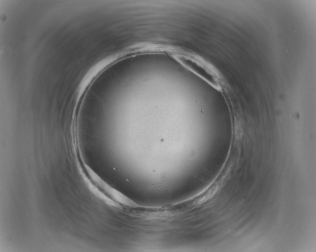 X0000080171247200612081352