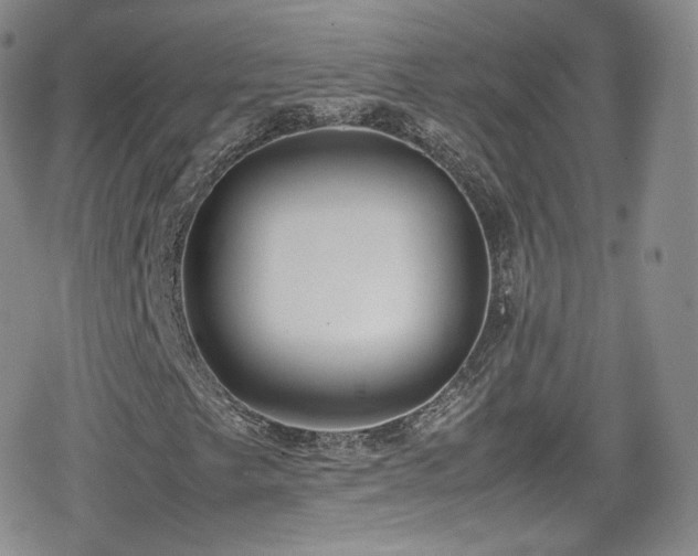 X0000080171249200612081352