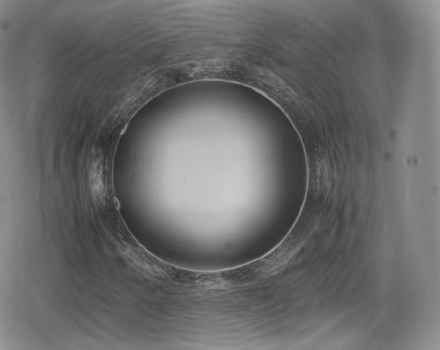 X0000080171250200612081352