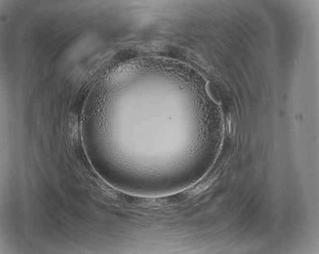 X0000080171251200612081352