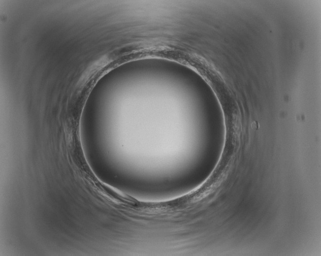 X0000080171257200612081351