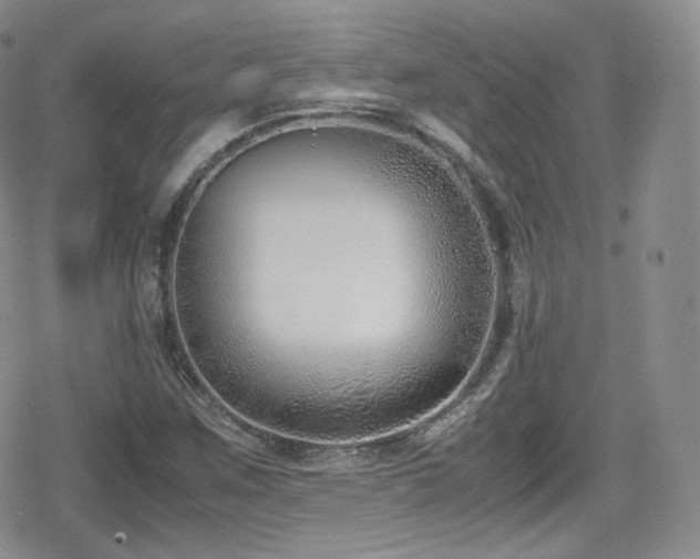 X0000080171259200612081351