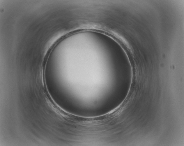 X0000080171272200612081351