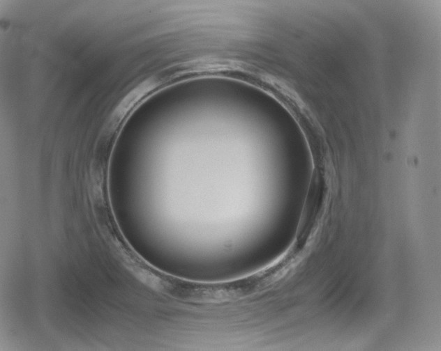 X0000080171273200612081351