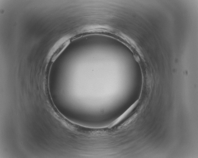 X0000080171277200612081351