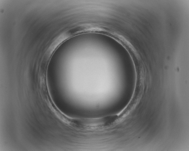 X0000080171281200612081351