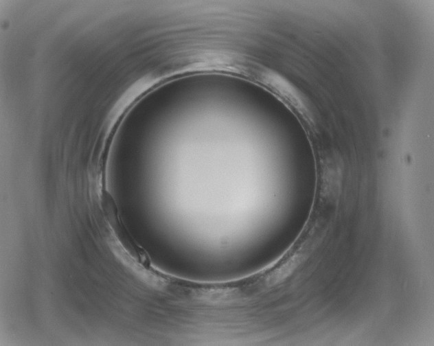 X0000080171284200612081351