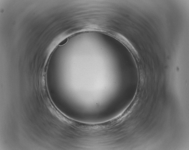 X0000080171292200612081351