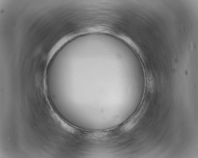 X0000080171294200612081351