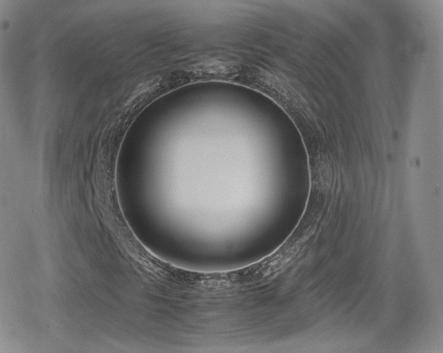 X0000080171297200612081350