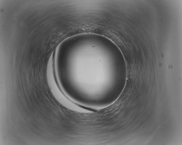 X0000080171298200612081350