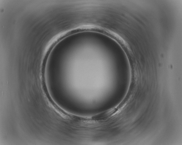 X0000080171327200612081351