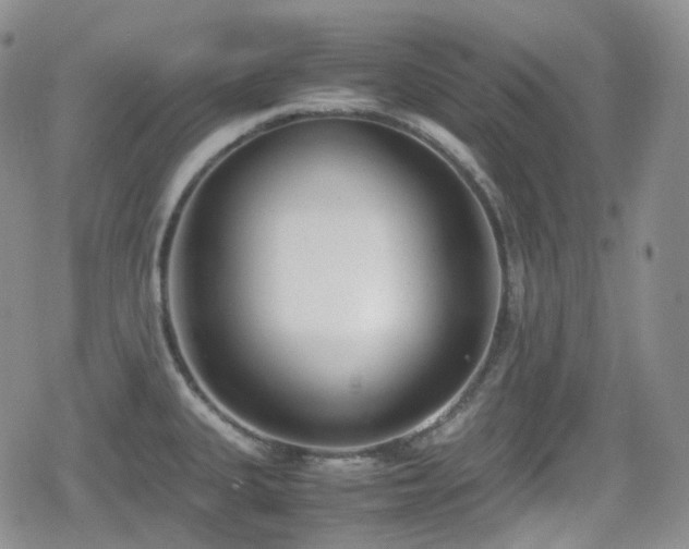X0000080171335200612081351