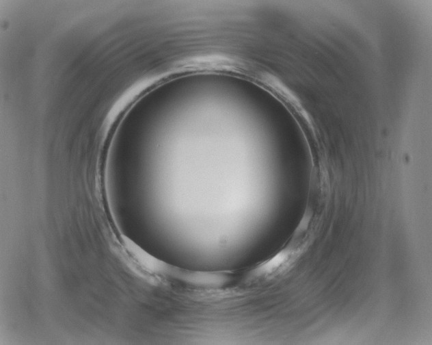 X0000080171336200612081351