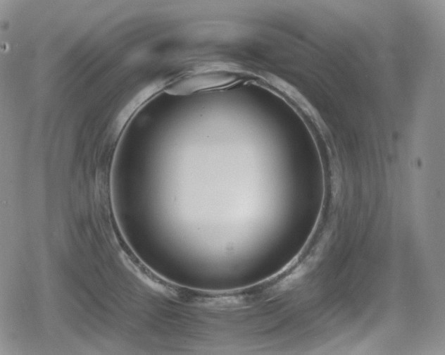 X0000080171337200612081351