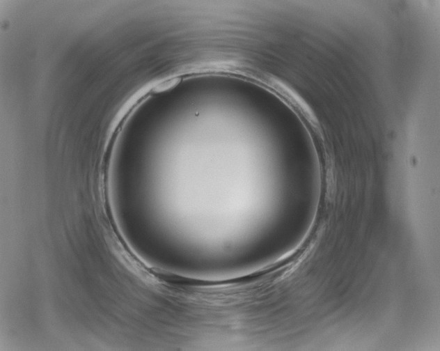 X0000080171340200612081351