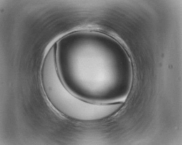 X0000080171344200612081351
