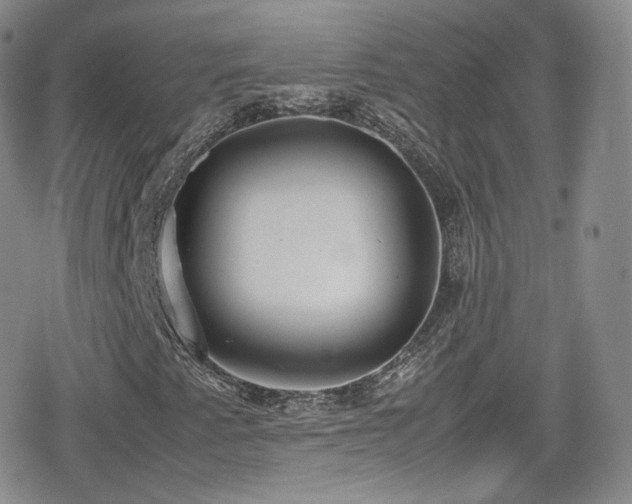 X0000080171345200612081350