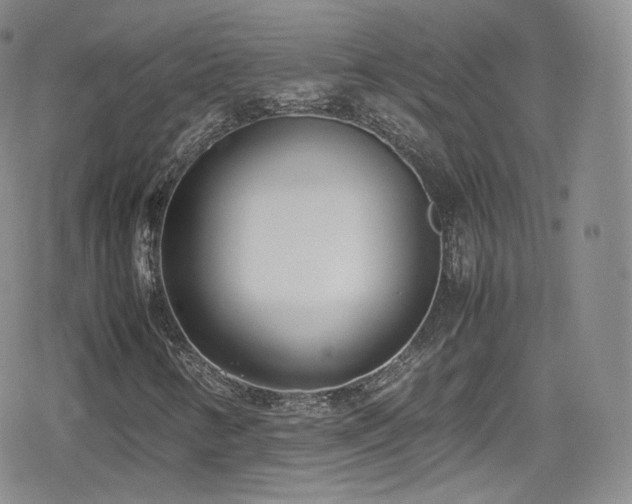 X0000080171346200612081350