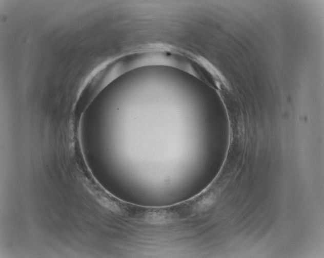 X0000080171364200612081350
