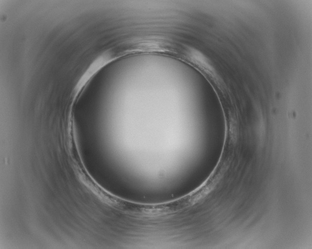 X0000080171378200612081349