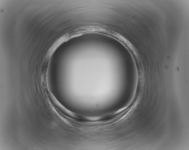 X0000080171385200612081349
