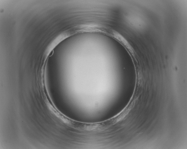 X0000080171386200612081349