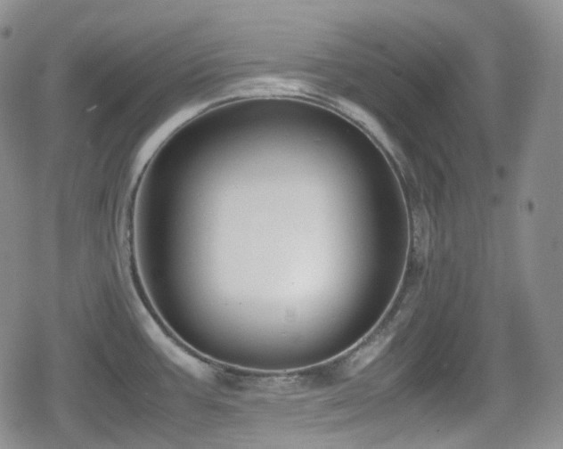 X0000080171387200612081349