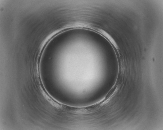 X0000080171388200612081349