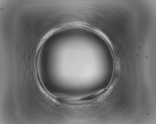 X0000080171389200612081349