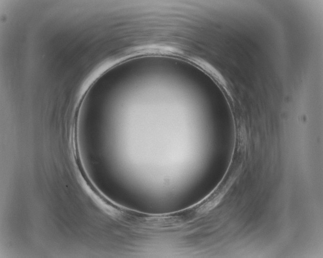 X0000080171391200612081349