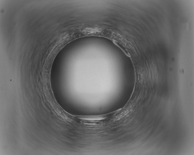 X0000080171393200612081348